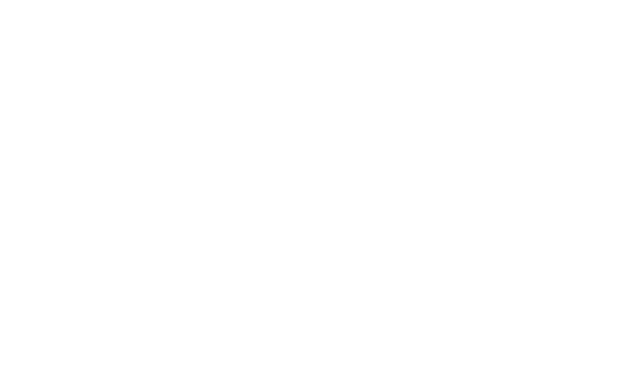 Jankko lentopallo